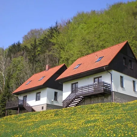 Prázdninový dům Holiday Sarkov 1 *